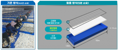 기존 패각 활용모습(왼쪽)과 배양필름 적용방법(오른쪽)
