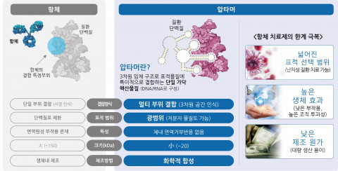 항체와 압타머의 비교(제공=FS리서치)