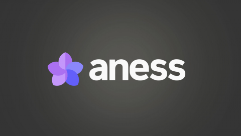 팀제로코드에서 운영하는 ‘아네스(aness)’ 플랫폼 로고